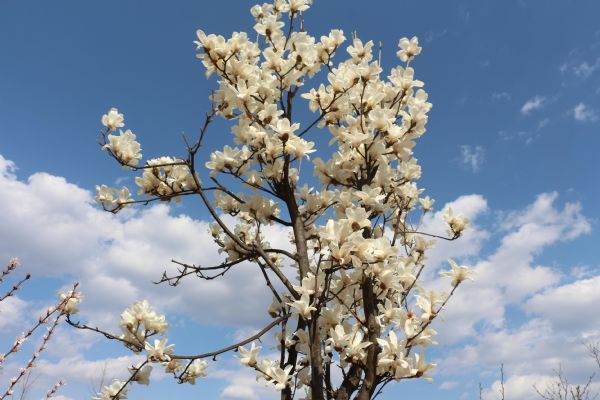 �������^(gu��)���_(d��)�@