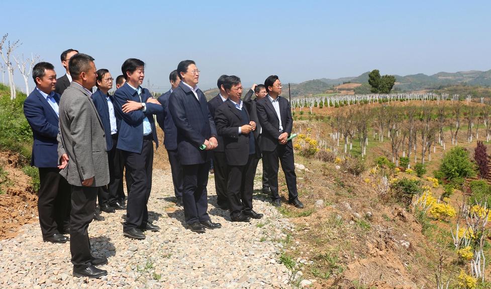 �z�����h������F(tu��n)������ʢ�r(n��ng)�ֹ�˾�{(di��o)��ָ��(d��o)